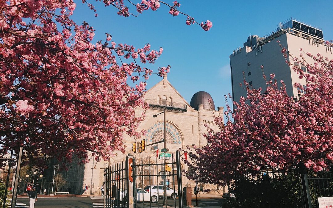 Temple Future Scholars Builds on RFS Legacy in Philadelphia